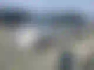 Vehicle Image- 2007 Toyota Sienna