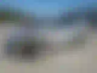 Vehicle Image- 2013 Toyota Highlander