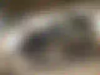 Vehicle Image- 2010 Toyota Highlander