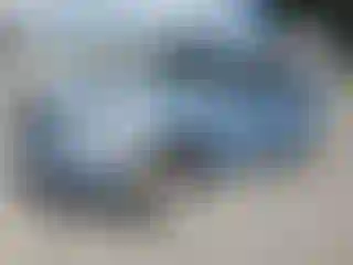 Vehicle Image- 2010 Toyota Highlander