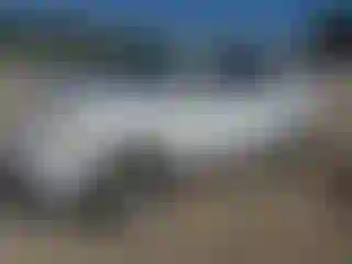 Vehicle Image- 2005 Toyota Sequoia