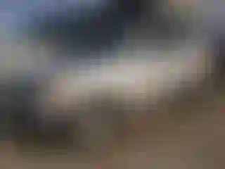 Vehicle Image- 2005 Toyota Sequoia