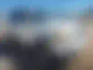 Vehicle Image- 2004 Toyota Sequoia