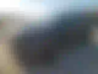 Vehicle Image- 2022 Toyota Highlander