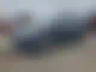 Vehicle Image- 2019 Toyota Highlander