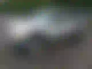 Vehicle Image- 2001 Toyota Tacoma