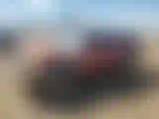 Vehicle Image- 2003 Toyota Tacoma
