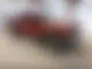 Vehicle Image- 2004 Toyota Tacoma