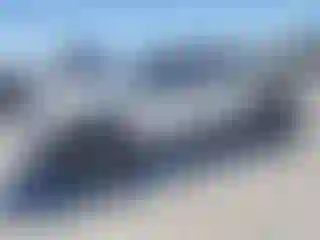 Vehicle Image- 2004 Toyota Tacoma