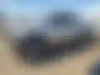Vehicle Image- 2001 Toyota Tacoma