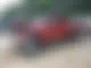 Vehicle Image- 2004 Toyota Tacoma