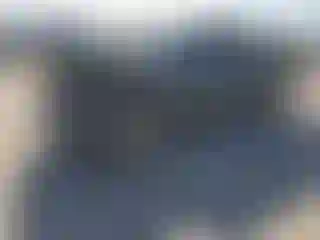 Vehicle Image- 2003 Toyota Tacoma