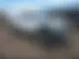 Vehicle Image- 2004 Toyota Tacoma