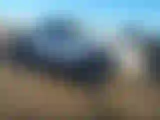 Vehicle Image- 2002 Toyota Tacoma