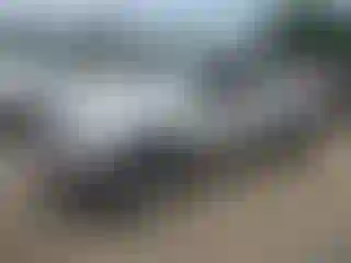 Vehicle Image- 2004 Toyota Tacoma