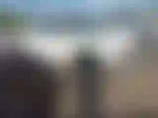 Vehicle Image- 2002 Toyota Tacoma