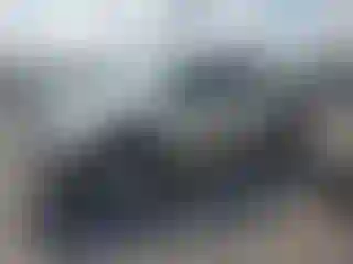 Vehicle Image- 2004 Toyota Tacoma