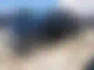 Vehicle Image- 2003 Toyota Tacoma