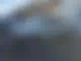 Vehicle Image- 2004 Toyota Tacoma