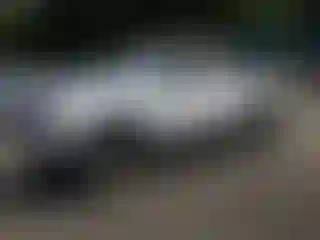 Vehicle Image- 2003 Toyota Tacoma