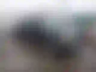 Vehicle Image- 2001 Toyota Tacoma