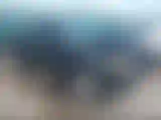 Vehicle Image- 2003 Toyota Tacoma