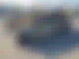 Vehicle Image- 2010 Toyota Tacoma