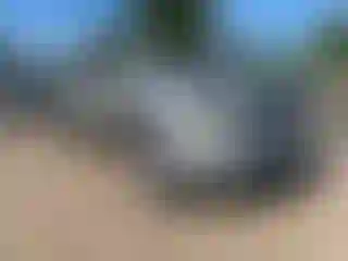 Vehicle Image- 2010 Toyota Tacoma