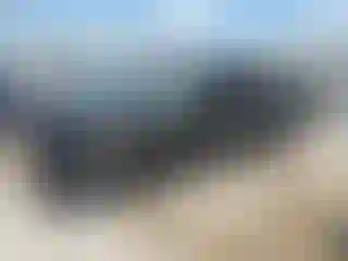 Vehicle Image- 2010 Toyota Tacoma