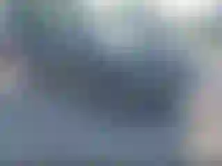 Vehicle Image- 2007 Toyota Tacoma