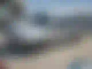 Vehicle Image- 2007 Toyota Tacoma
