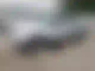 Vehicle Image- 2007 Toyota Tacoma