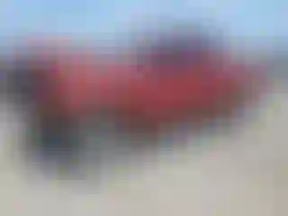Vehicle Image- 2008 Toyota Tacoma