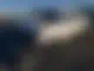 Vehicle Image- 2006 Toyota Tacoma