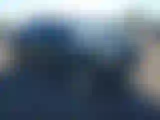 Vehicle Image- 2007 Toyota Tacoma