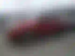 Vehicle Image- 2005 Toyota Tacoma