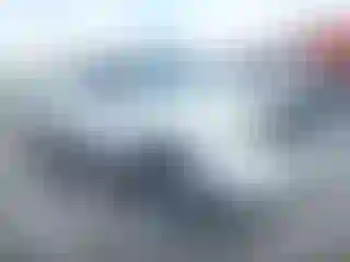 Vehicle Image- 2008 Toyota Tacoma