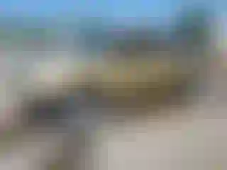 Vehicle Image- 2007 Toyota Tacoma