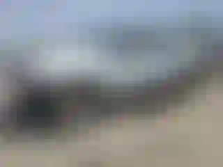 Vehicle Image- 2007 Toyota Tacoma