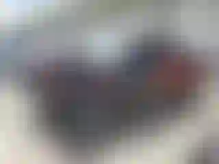 Vehicle Image- 2005 Toyota Tacoma