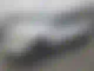 Vehicle Image- 2007 Toyota Tacoma