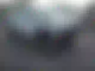 Vehicle Image- 2005 Toyota Tacoma