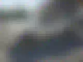 Vehicle Image- 2006 Toyota Tacoma