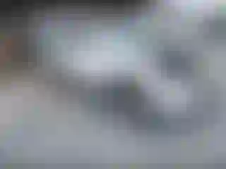 Vehicle Image- 2007 Toyota Tacoma