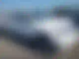 Vehicle Image- 2005 Toyota Tacoma