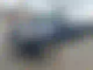 Vehicle Image- 2006 Toyota Tacoma
