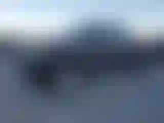 Vehicle Image- 2007 Toyota Tacoma