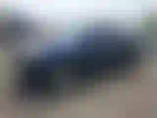 Vehicle Image- 2008 Toyota Tacoma