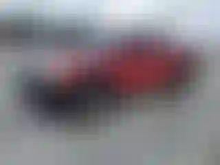 Vehicle Image- 2007 Toyota Tacoma