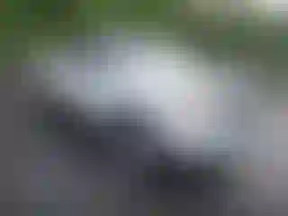 Vehicle Image- 2008 Toyota Tacoma